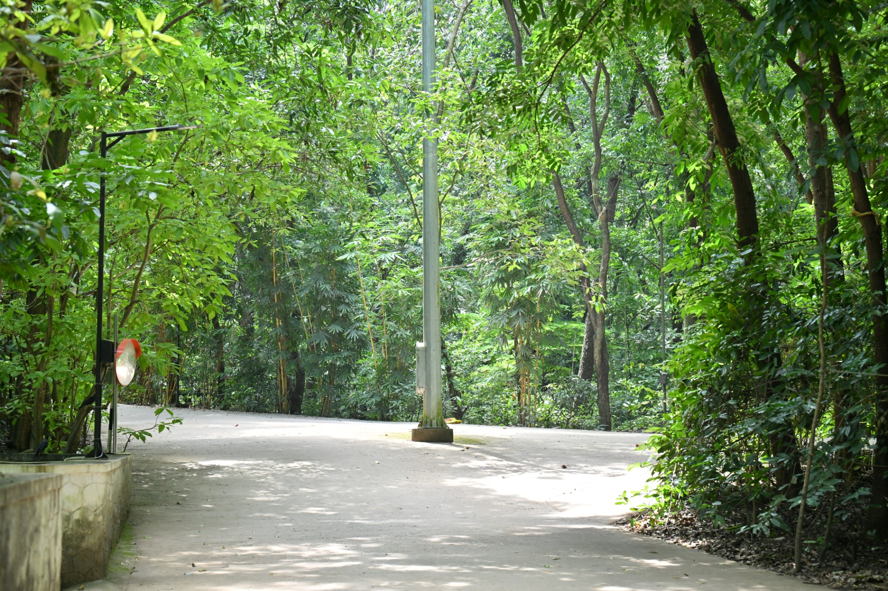 Green campus 6