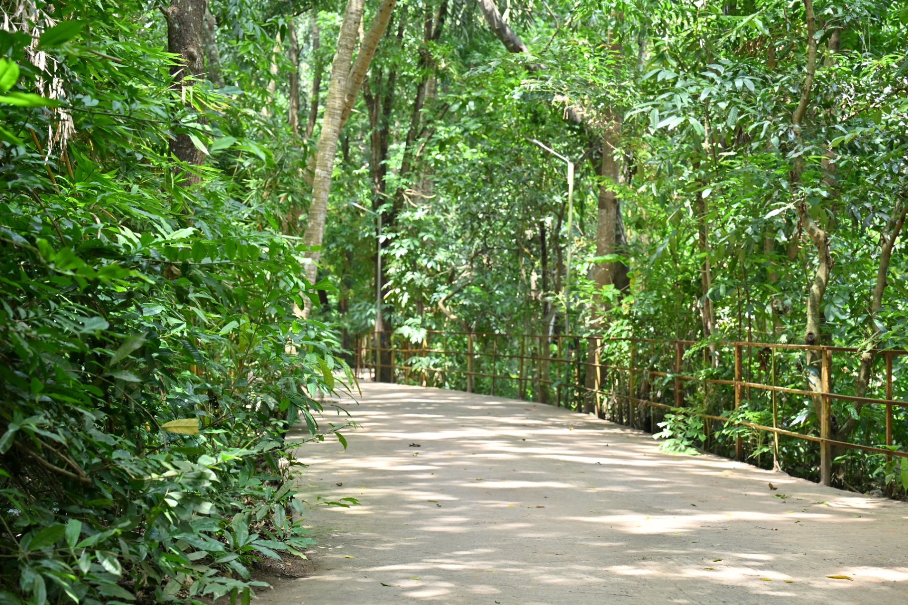 Green campus 5