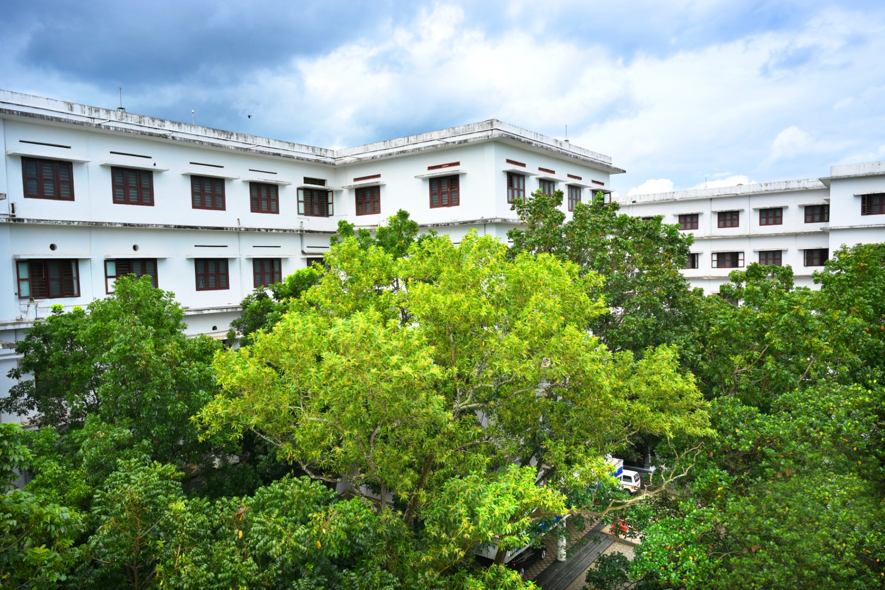 Green campus 8