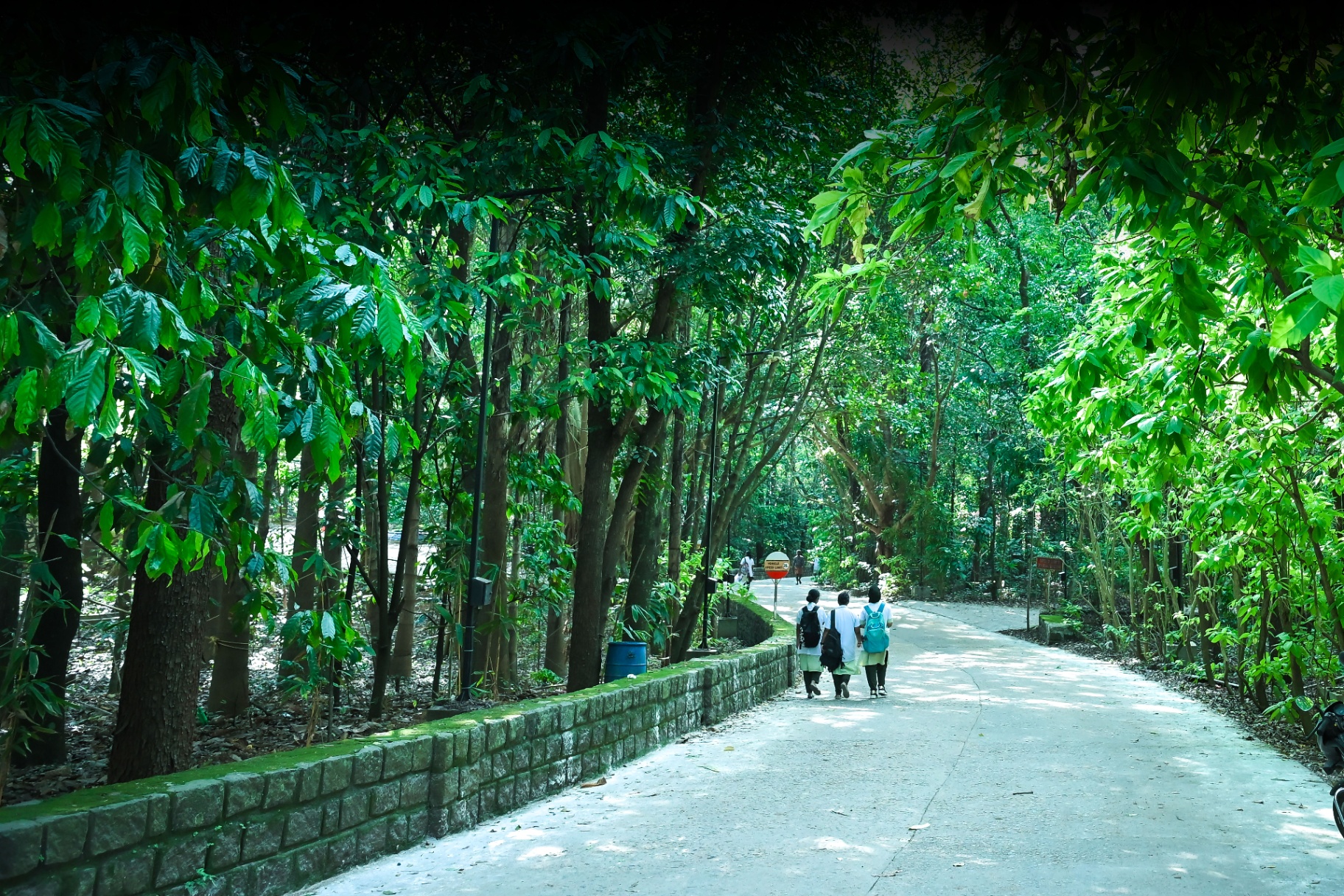 Green campus 3