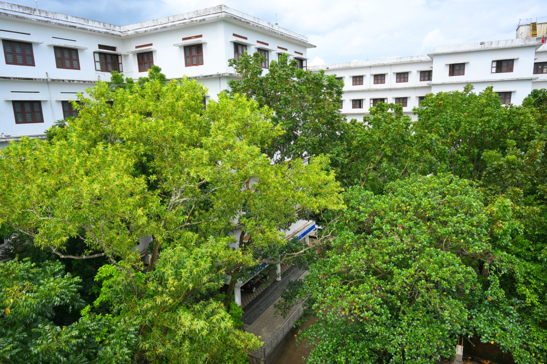Green campus 7