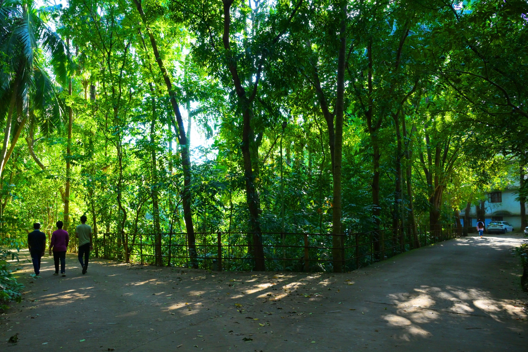 Green campus 11