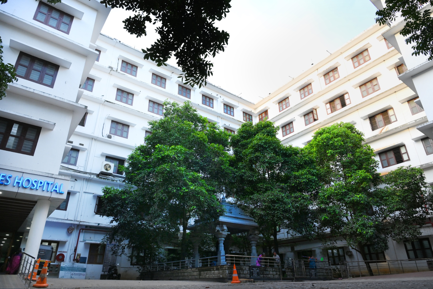 Green campus 2