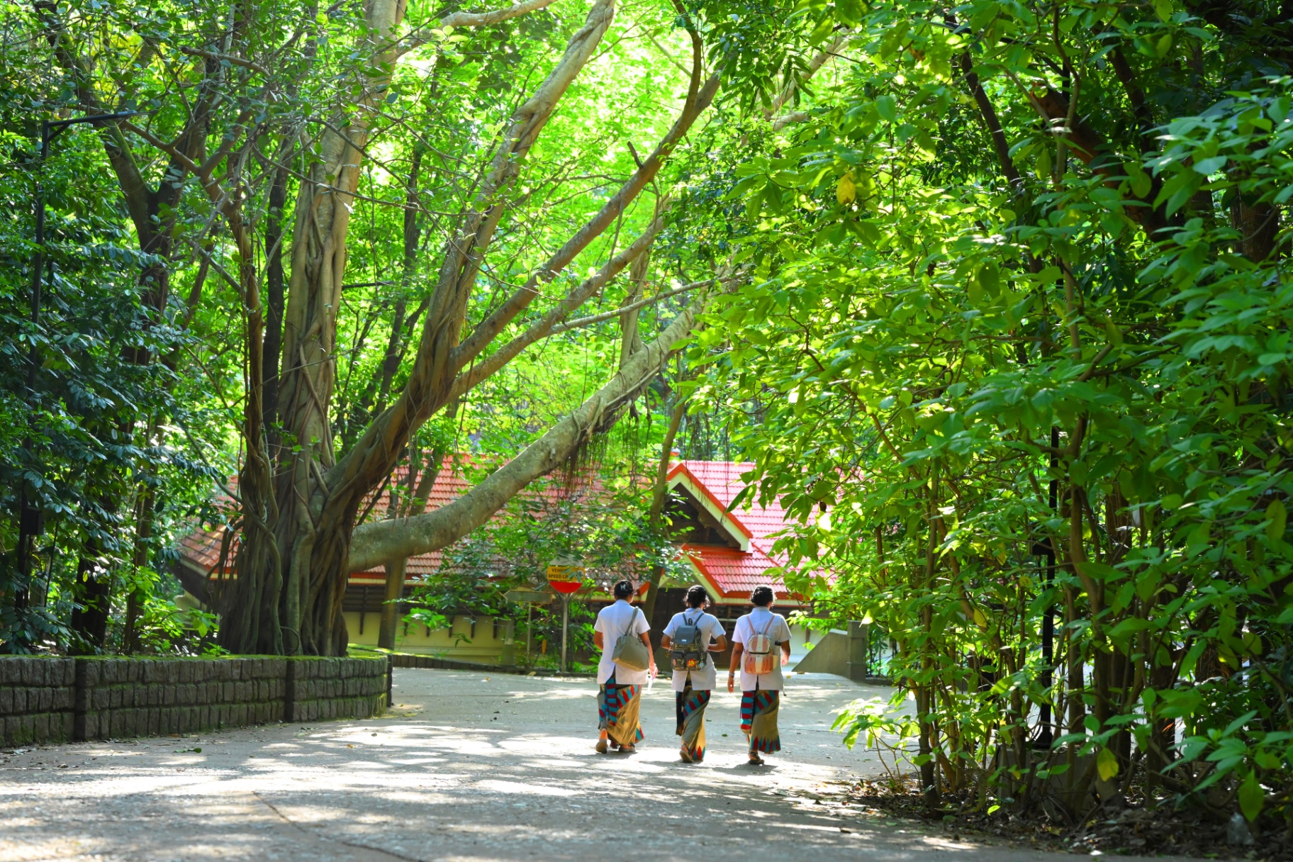 Green campus 10