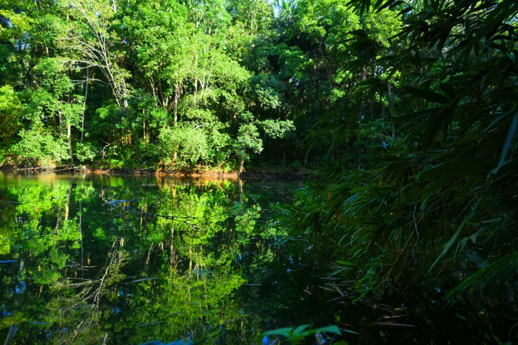 Green & Serene Campus 1