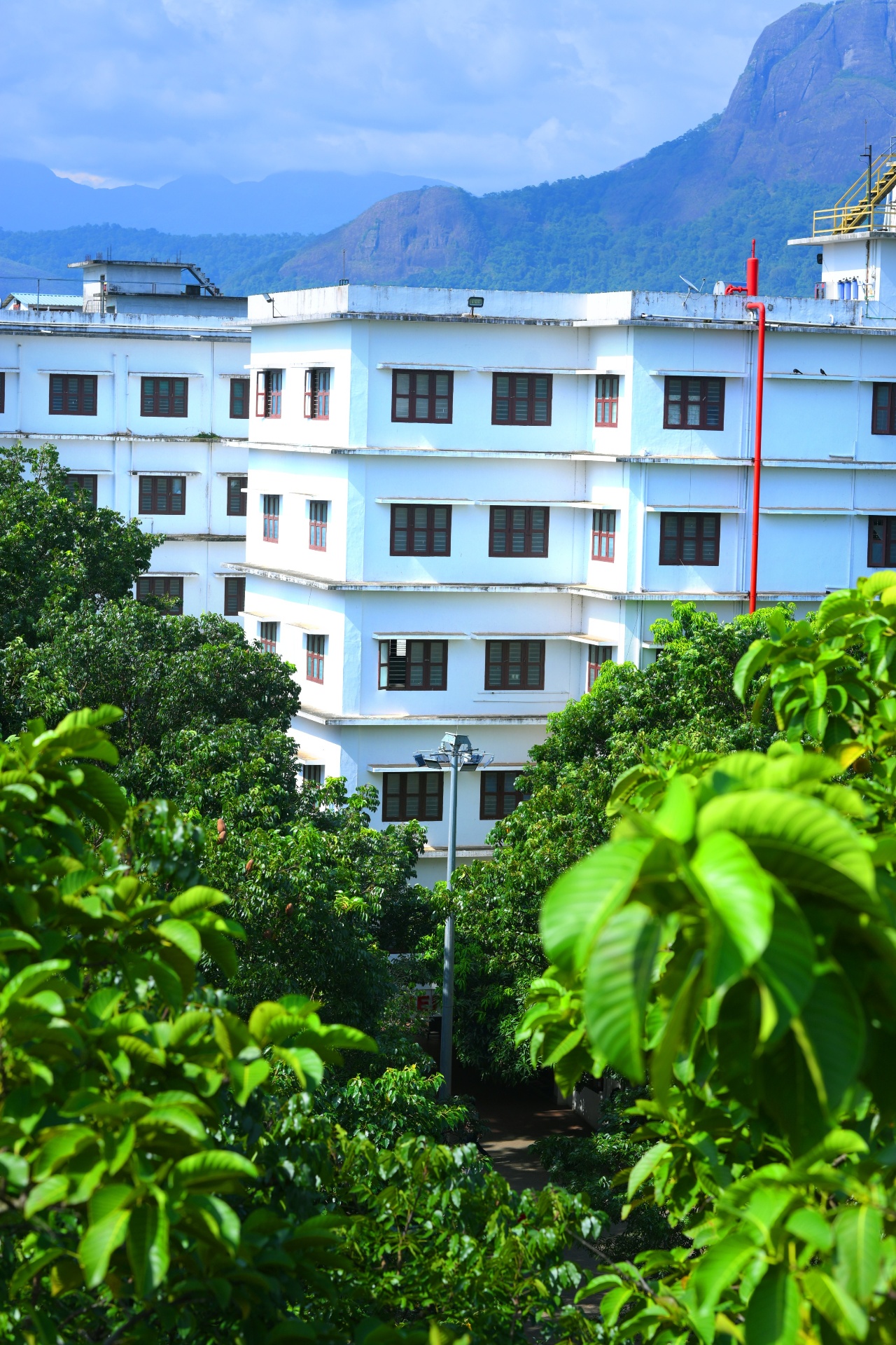 Green campus 14