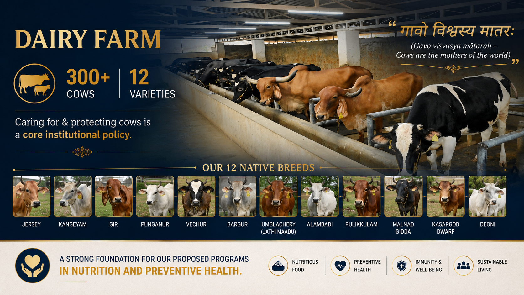 Institutional Dairy Farm