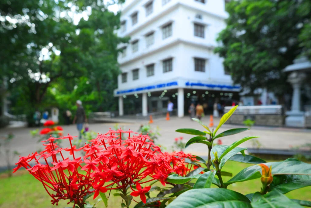 Green & Serene Campus 2