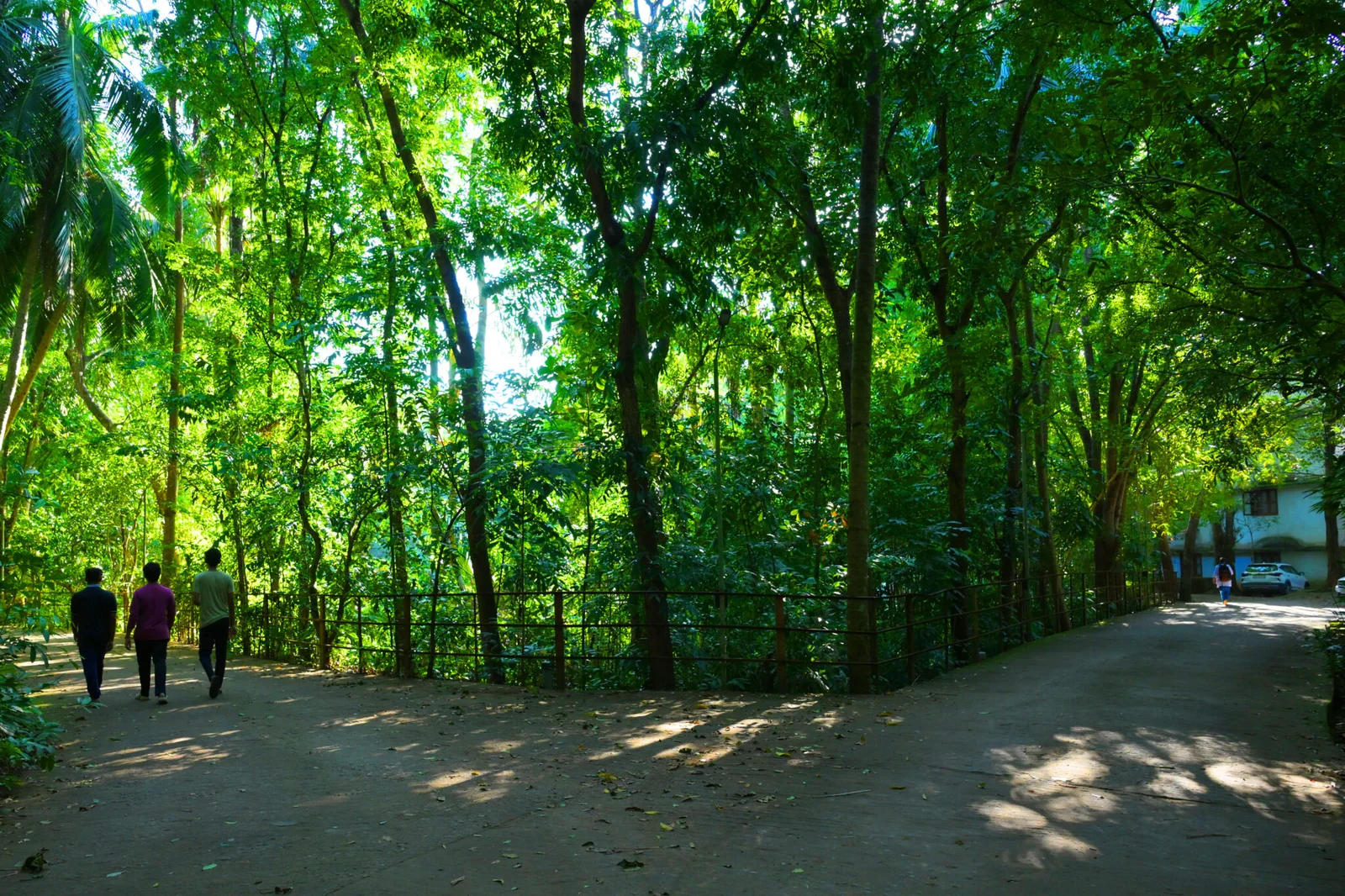 Green Campus