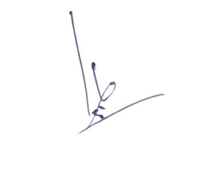 Signature